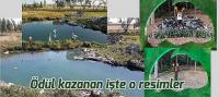 Ödül kazandıran işte o fotoğraflar