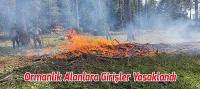 Ormanlık Alanlara Girişler Yasaklandı