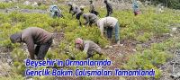 Beyşehir'in Ormanlarında Gençlik Bakım Çalışmaları Tamamlandı