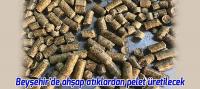 Beyşehir’de ahşap atıklardan pelet üretilecek