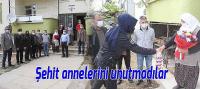Kaymakam Özdemir, Şehit Annelerini Evlerinde Ziyaret Ederek Gününü Kutladı