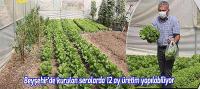 Beyşehir'de kurulan seralarda 12 ay üretim yapılabiliyor