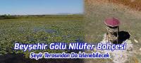 Beyşehir Gölü'nün Nilüfer Bahçesi Seyir Terasından Da İzlenebilecek