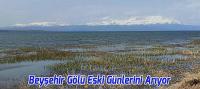 Beyşehir Gölü Eski Günlerini Arıyor