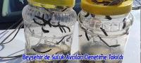 Beyşehir’de Sülük Avcıları Denetime Takıldı