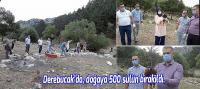 Derebucak'da, doğaya 500 sülün kuşu bırakıldı.