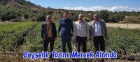 Akademisyenlerden Beyşehir'in Tarımsal Alanlarında İnceleme