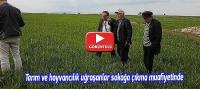 Tarım ve hayvancılık faaliyetlerinde bulunanlar sokağa çıkma yasağından muaf
