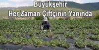 Büyükşehir Her Zaman Çiftçinin Yanında