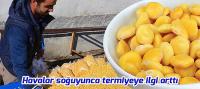 Havalar Soğuyunca Termiyeye İlgi Arttı