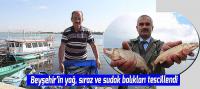 Beyşehir’in yağ, sıraz ve sudak balıkları tescillendi