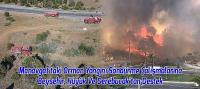 Manavgat'taki Orman Yangını Söndürme Çalışmalarına Beyşehir, Hüyük Ve Derebucak'tan Destek