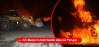 Göl Kenarındaki Sazlık Alanda Yangın