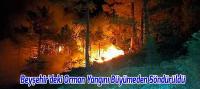 Beyşehir'deki Orman Yangını Büyümeden Söndürüldü