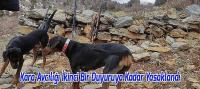 Kara Avcılığına İkinci Bir Duyuruya Kadar Yasaklandı