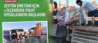 Başkan Altay: “Zeytin Üretimi İçin 2 İlçemizde Pilot Uygulamaya Başladık”
