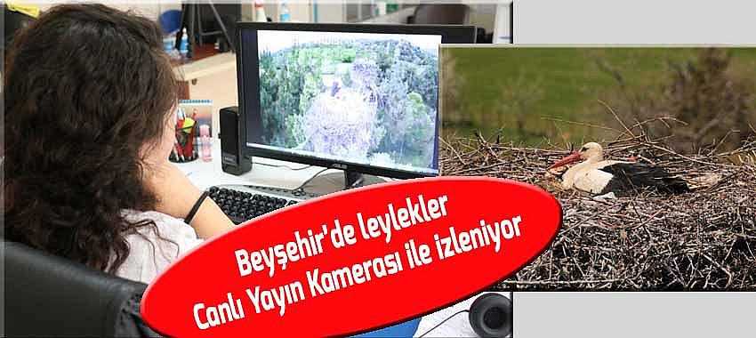 Beyşehir’de leylekler Canlı Yayın Kamerası ile izleniyor