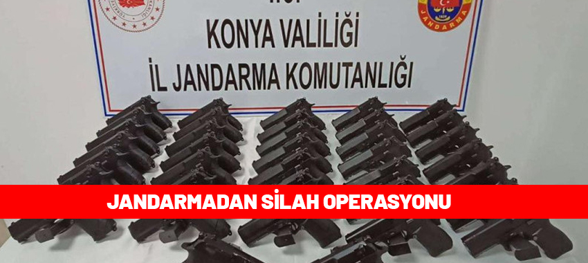 Jandarmadan silah operasyonu