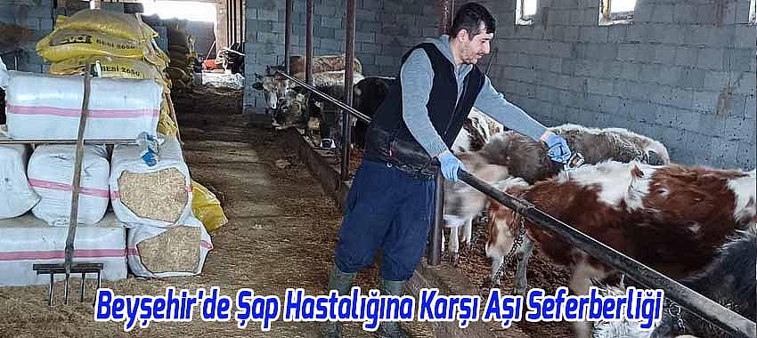 Kategori Haberleri