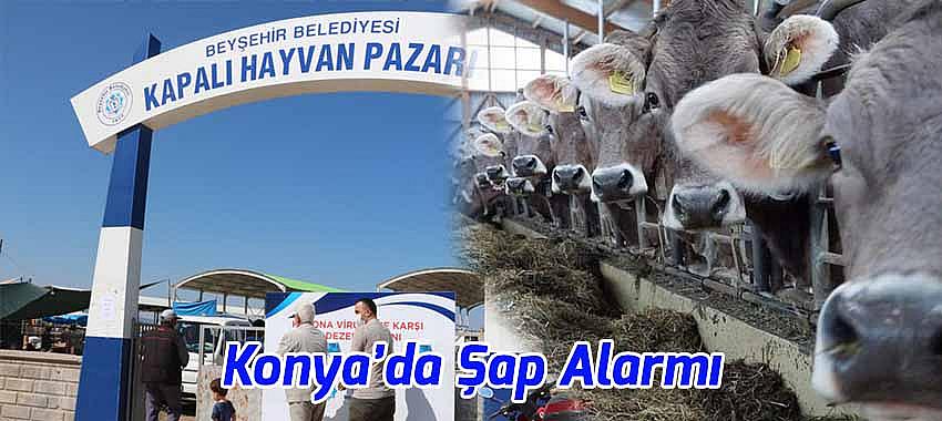 Kategori Haberleri