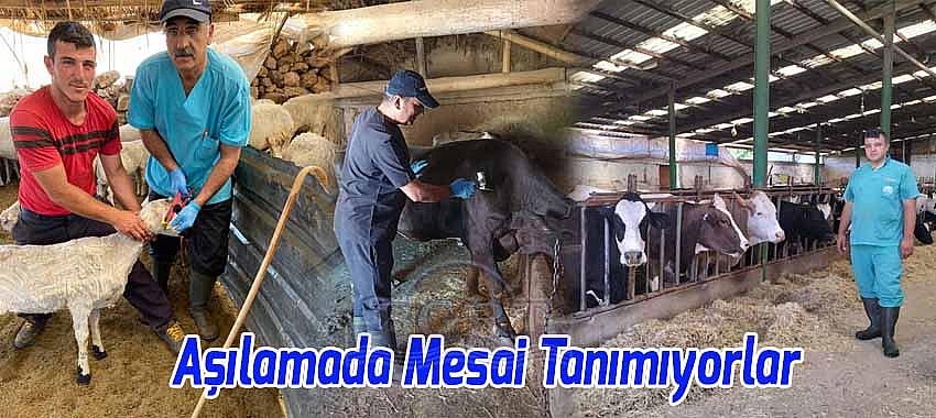 Beyşehir İlçe Tarım Veterinerleri Aşılamada Mesai Tanımıyorlar