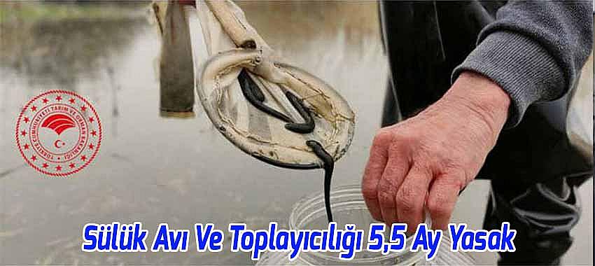 Sülük Avı Ve Toplayıcılığı 5,5 Ay Yasak