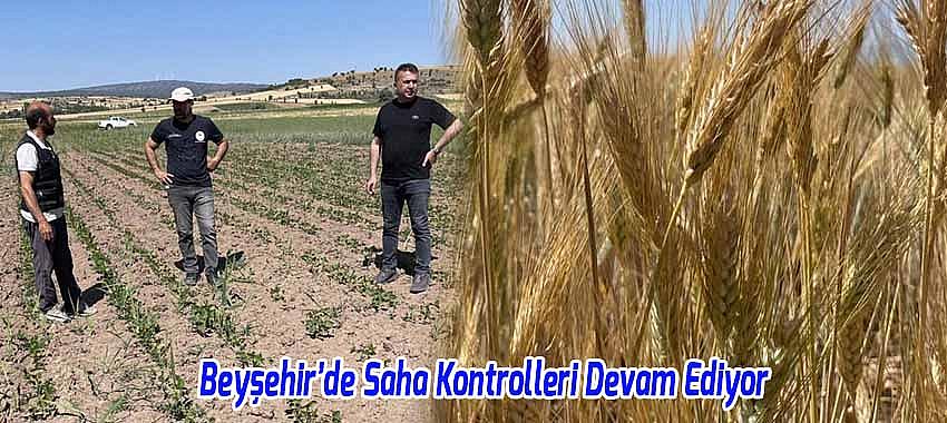 Kategori Haberleri