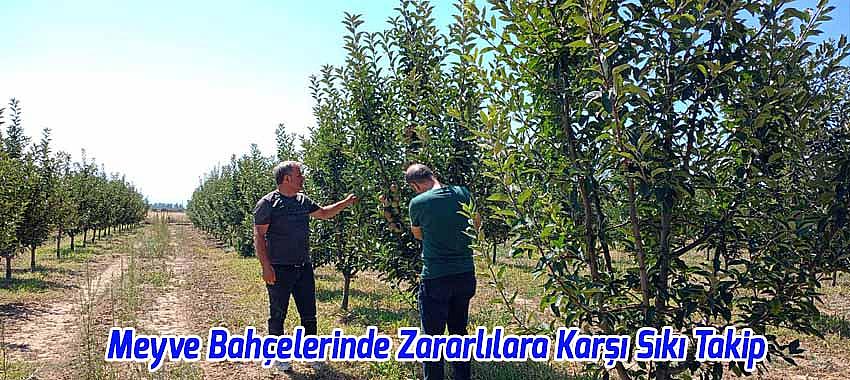 Beyşehir'de Meyve Bahçelerinde Zararlılara Karşı Sıkı Takip