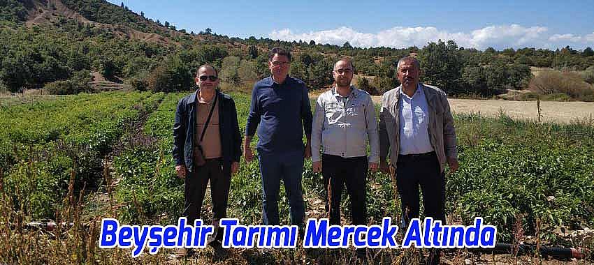 Akademisyenlerden Beyşehir'in Tarımsal Alanlarında İnceleme