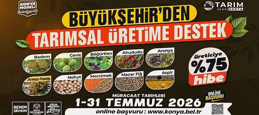 Kategori Haberleri