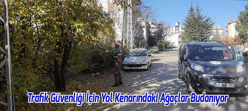 Beyşehir’de Trafik Güvenliği İçin Yol Kenarındaki Ağaçlar Budanıyor