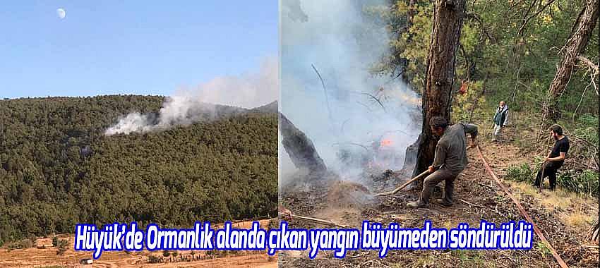 Ormanlık alanda çıkan yangın büyümeden söndürüldü