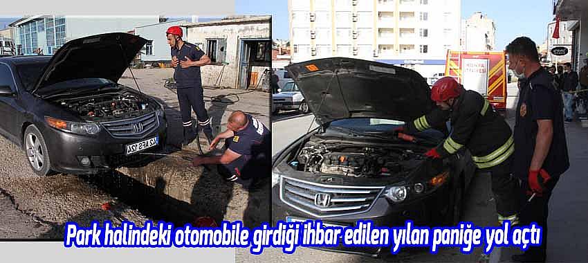 Park halindeki otomobile girdiği ihbar edilen yılan paniğe yol açtı