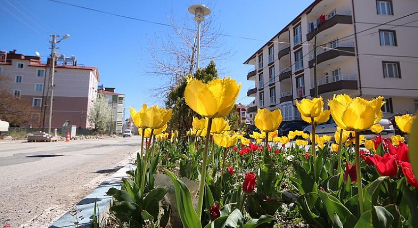 Çiçek Gibi Beyşehir