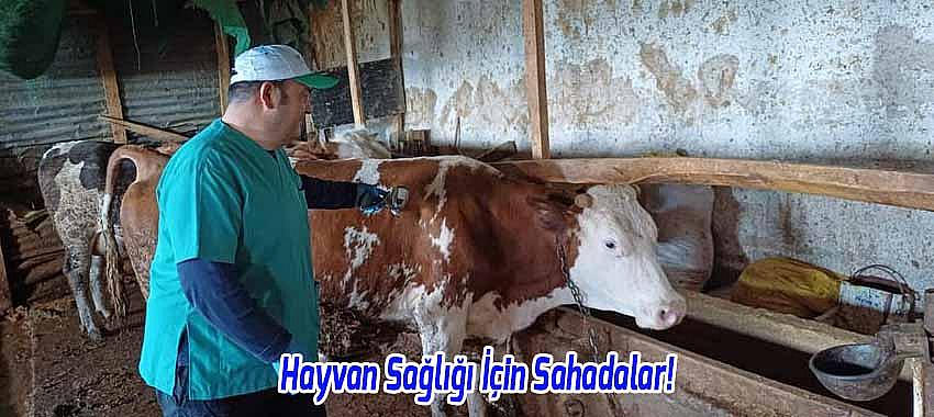 Kategori Haberleri