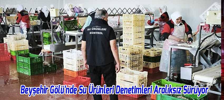 Kategori Haberleri