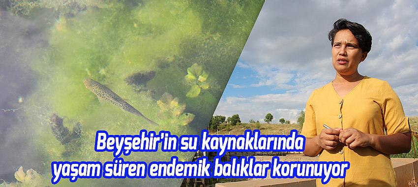 Beyşehir’in su kaynaklarında yaşam süren endemik balıklar korunuyor