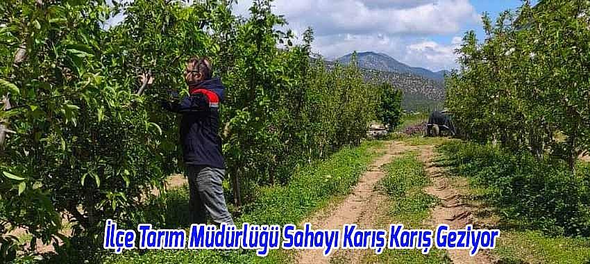 Kategori Haberleri