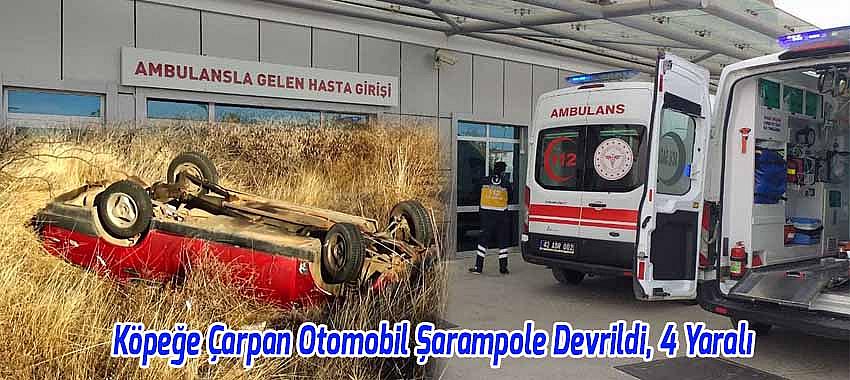 Beyşehir'de Köpeğe Çarpan Otomobil Şarampole Devrildi, 4 Yaralı