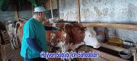 Üreticinin Yanında, Sağlıklı Geleceğin Peşinde: Hayvan Sağlığı İçin Sahadalar!