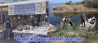 Beyşehir'de Balık Boy Denetimleri Devam Ediyor