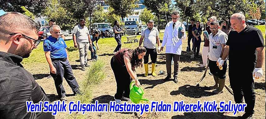 Yeni Sağlık Çalışanları Hastaneye Fidan Dikerek Kök Saldı