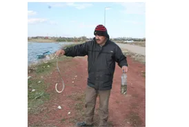 Yılanlar kuş uykusundan uyandı 