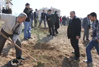 Beyşehirde ağaç bayramı