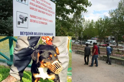 Ağızlığı olmayan köpekler parka giremeyecek