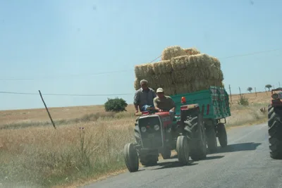 Saman balyası mesaisi 