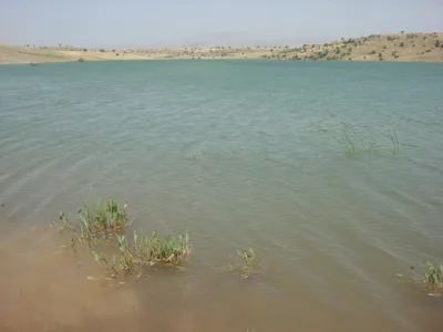 Balık avlanması yasaklandı 