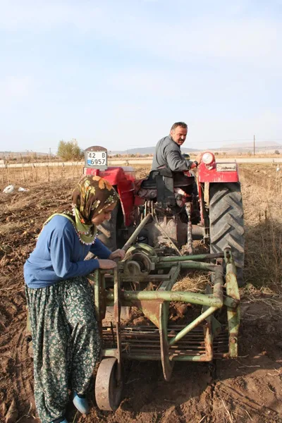 Beyşehirde sözleşmeli patates ektirilecek