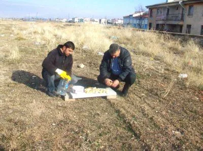 Sokak Hayvanlarına Şefkat Eli