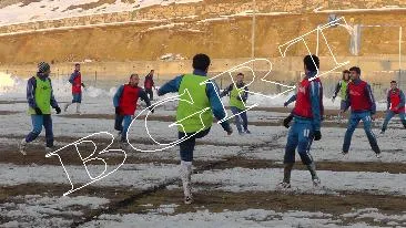 Martı karlı zeminde çalıştı